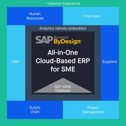 Infographie SAP Business ByDesign_Solution ERP Cloud_PME_Eng_Createch